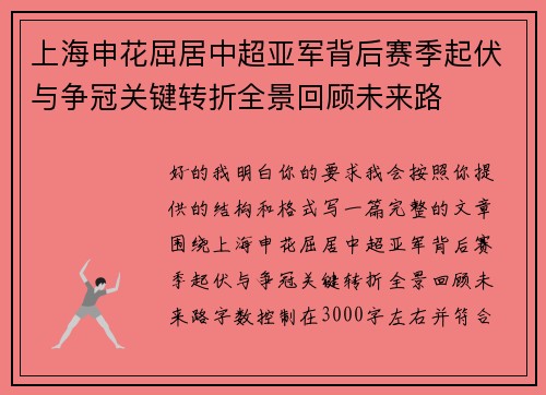 上海申花屈居中超亚军背后赛季起伏与争冠关键转折全景回顾未来路
