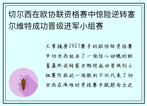 切尔西在欧协联资格赛中惊险逆转塞尔维特成功晋级进军小组赛